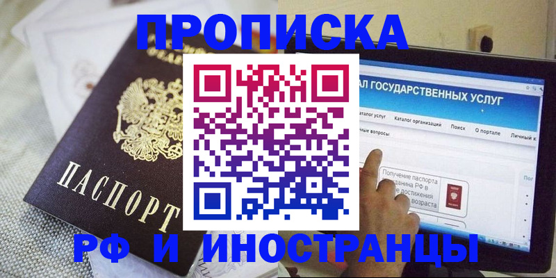 прописка законно в Мытищах